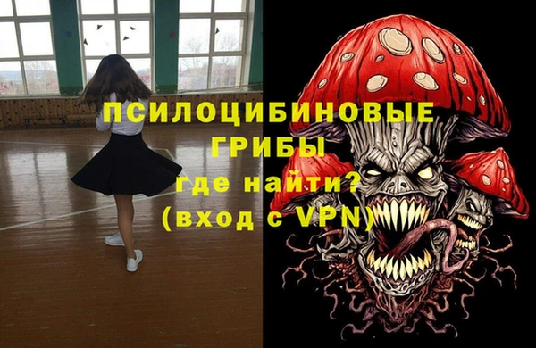 PSILOCYBIN Арсеньев
