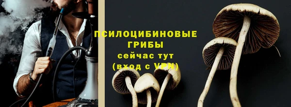 PSILOCYBIN Арсеньев