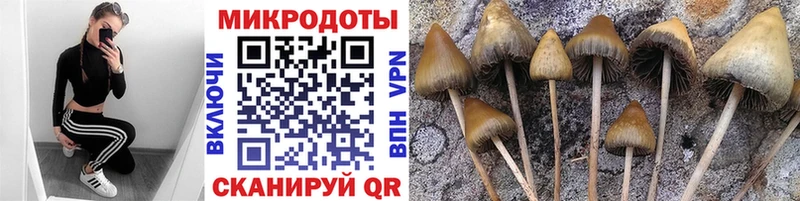 Псилоцибиновые грибы ЛСД  Калтан 